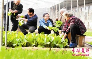 孟海公姓名打分84分