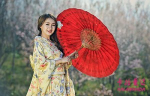 杨佳宁姓名分数100分